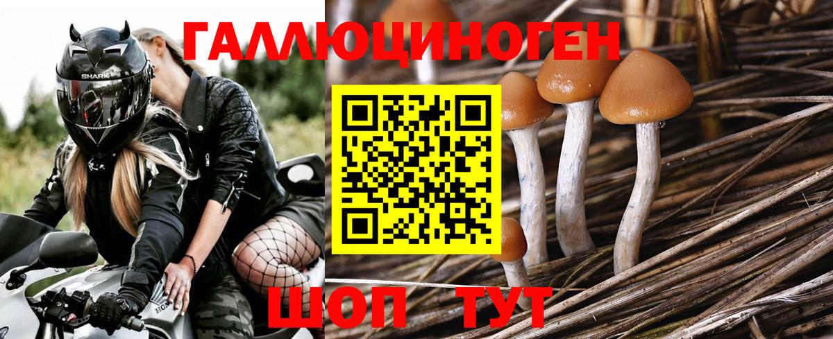 Кемерово  Псилоцибиновые грибы ЛСД  Псилоцибиновые грибы прущие грибы  где купить наркотик  Вход с VPN 